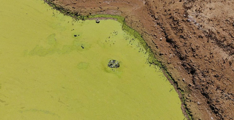 İLK DEFA BÖYLE BİR ŞEY GÖRDÜK