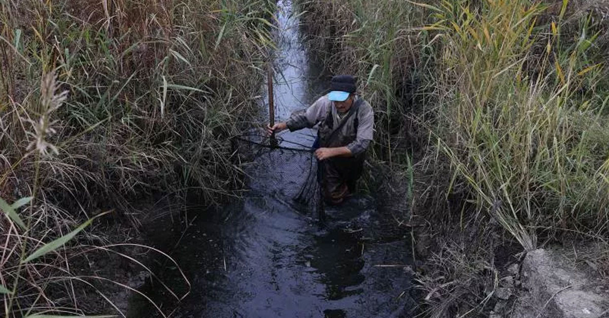 BAZI GÜNLER HİÇ YAKALANMIYOR