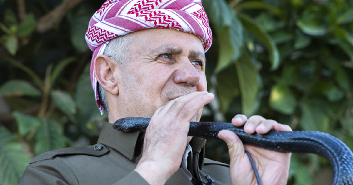 Yılanların beslenme düzeni