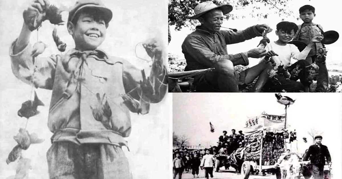 DÖRT HAŞERE KAMPANYASI