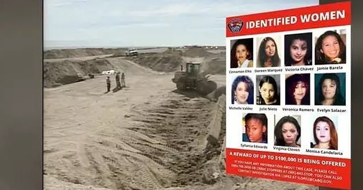 Kemik Toplayıcısı