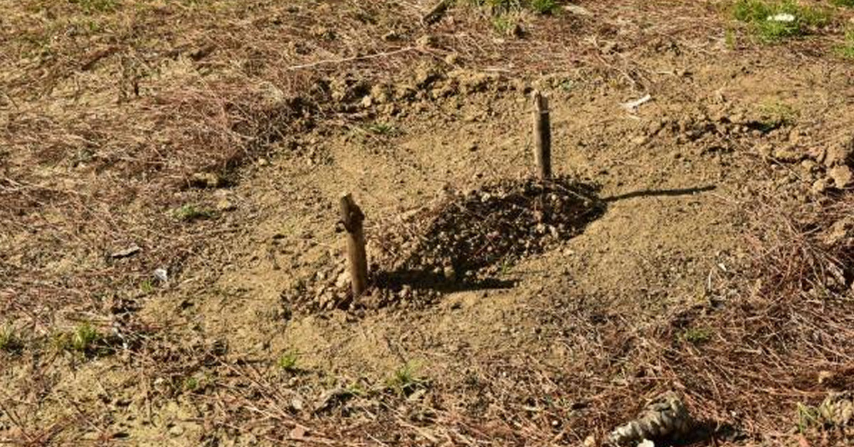 İnşaat bekçisi anlattı