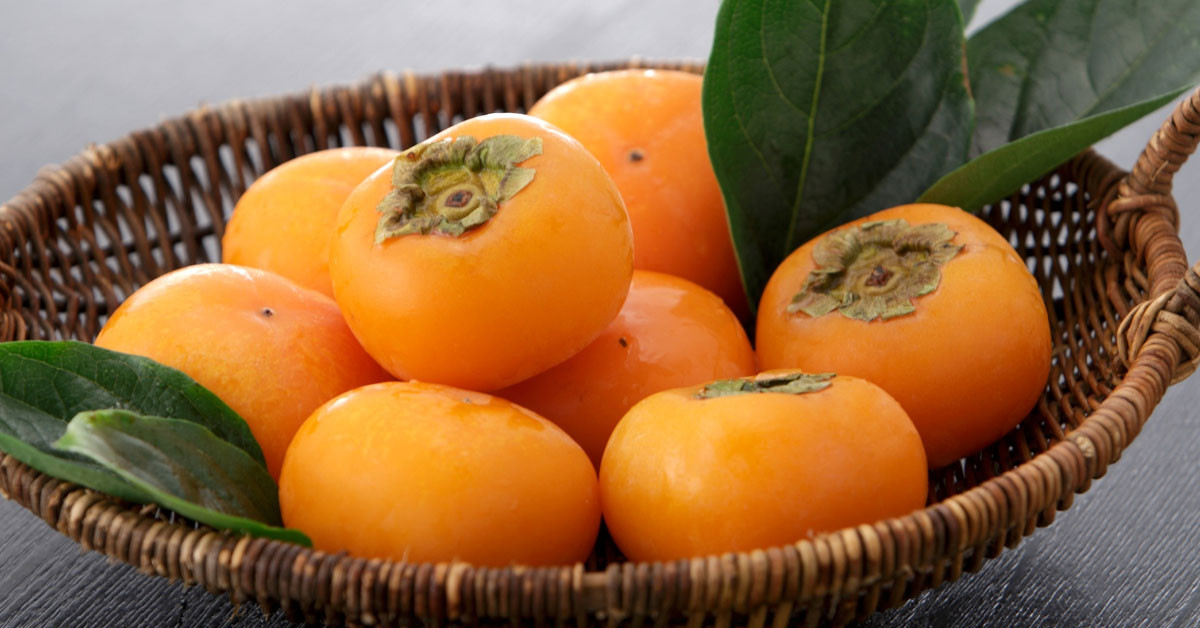 Göz sağlığını koruyor