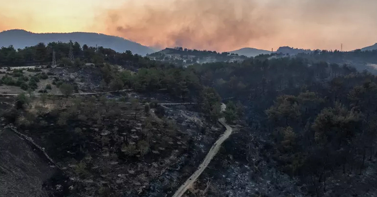Çanakkale'de son durum! Yangın havadan görüntülendi