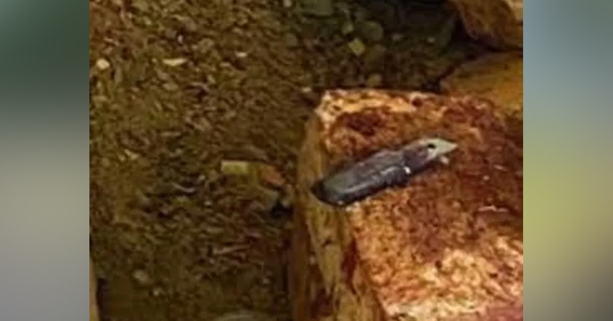 Doğum belirtisi yoktu  