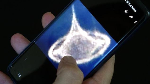 "KUYRUK KISMINDA İNSAN YÜZÜNE BENZEYEN SİLÜET VAR"