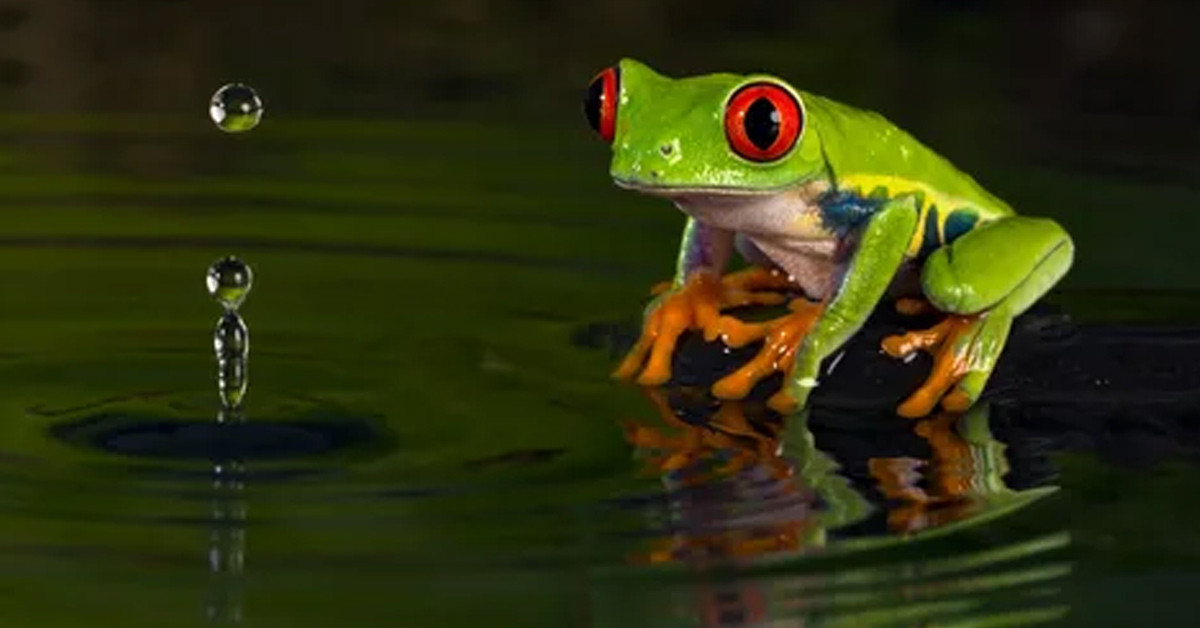 Evliliğin göstergesi