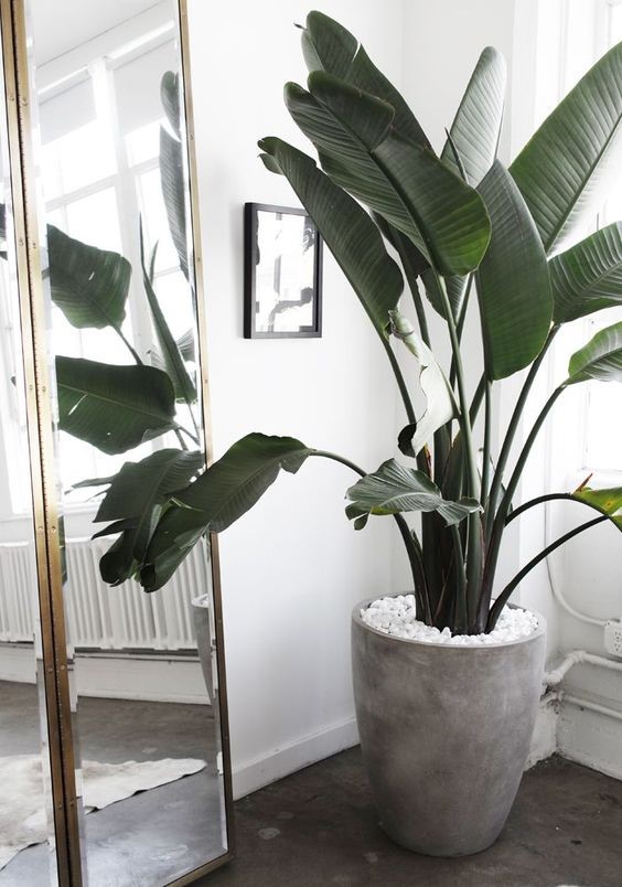 Farklı Renkte Çiçeklere Yer Açın 