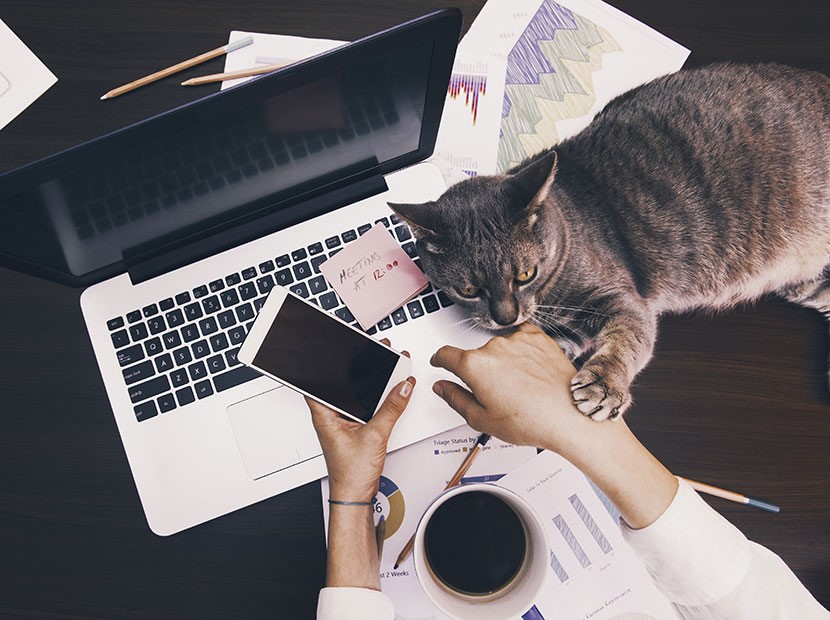 Ev Hayatından Uzaklaşın 