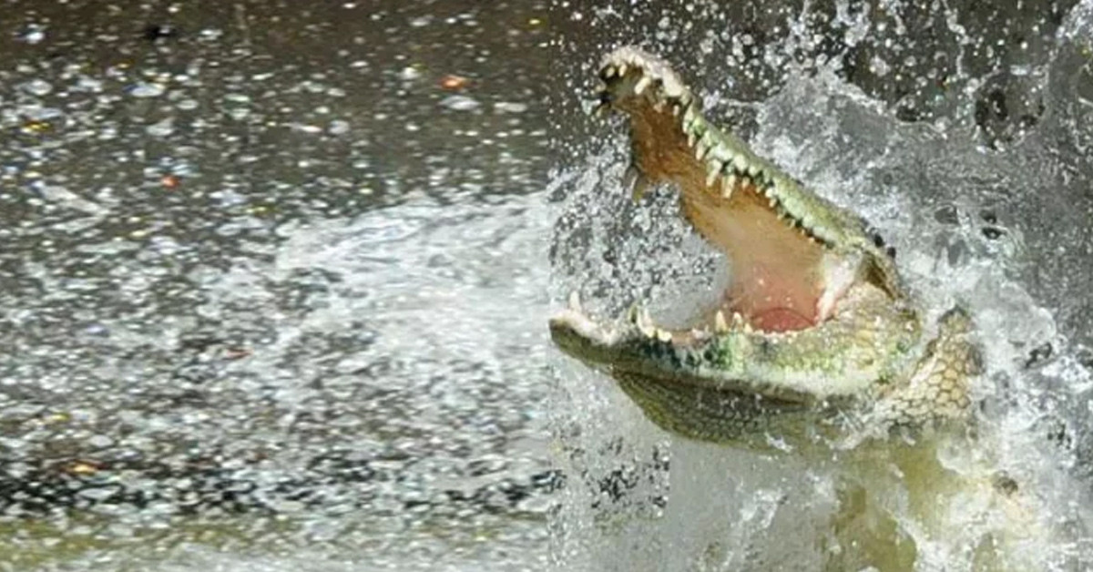 Yardım çığlıkları geldi