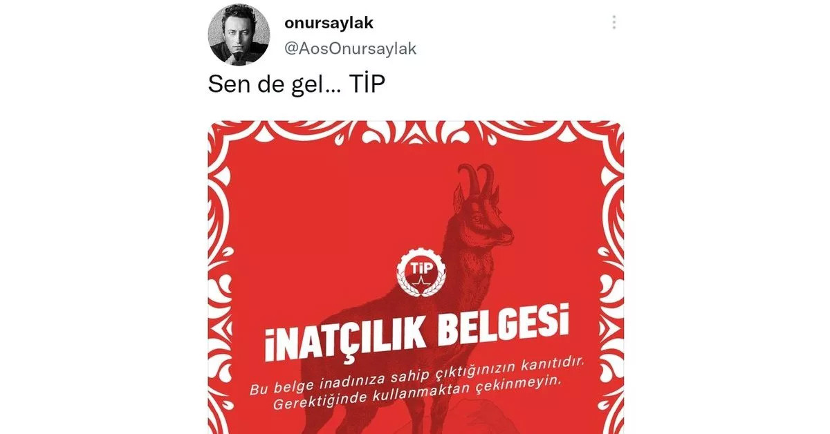 Onur Saylak İşçi Partisi'ne üye oldu 