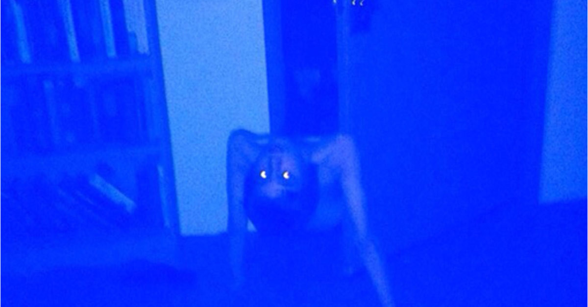 Fort worden canavarı