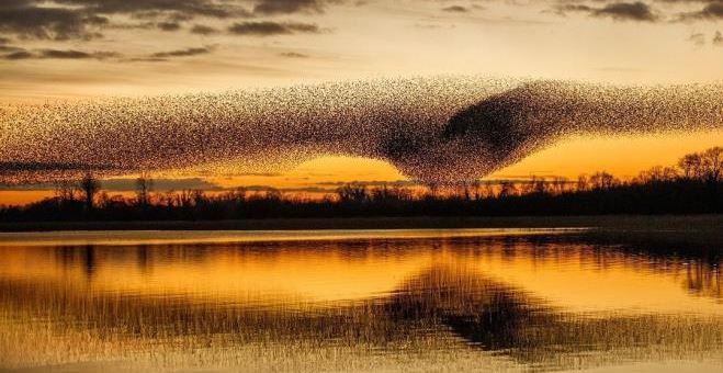 50 KEZ GİDİP GELDİ