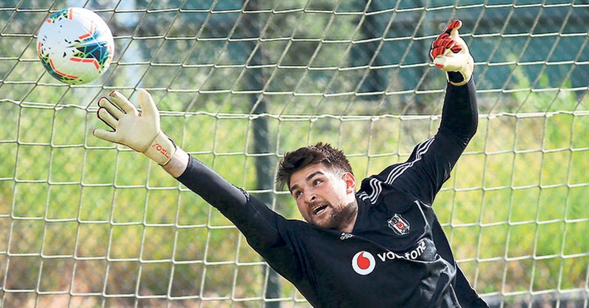 Başarıları Nelerdir?