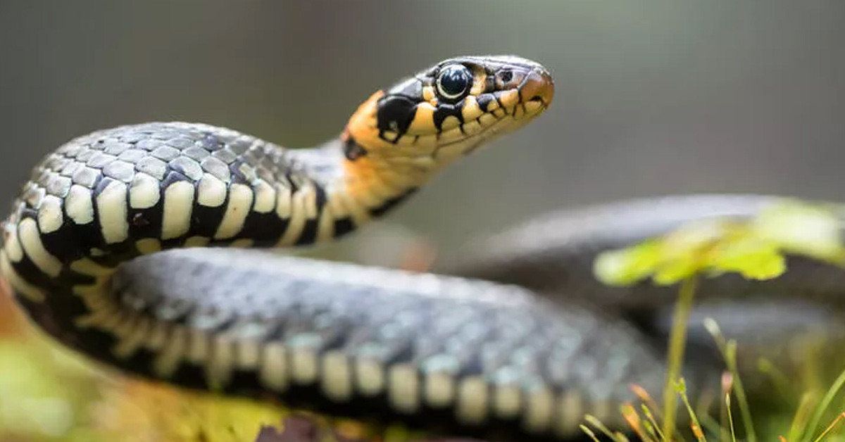 Sosyal medyada paylaştı