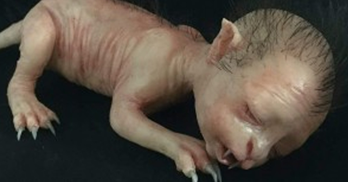 Milyonlarca tür yok oldu