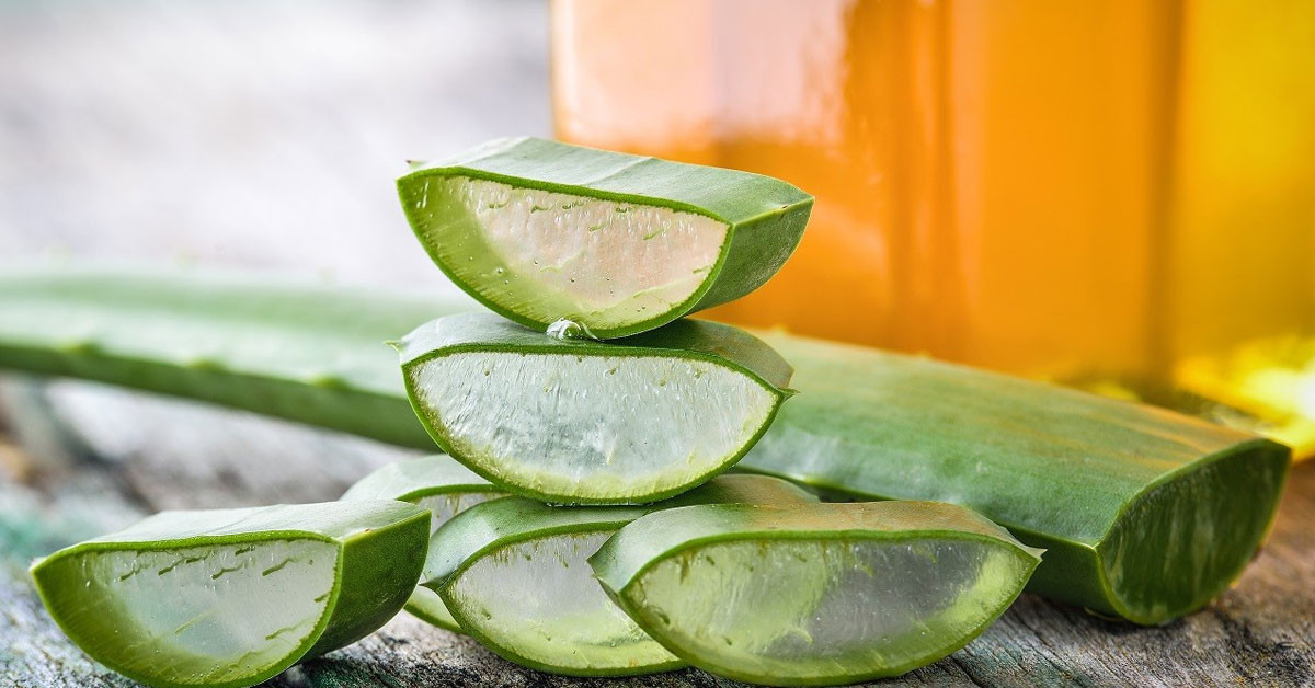 Aloe Vera ve Elma Sirkesi Antibiyotik Etkisine Sahiptir