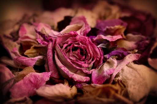 Kitap Arası Yöntemi