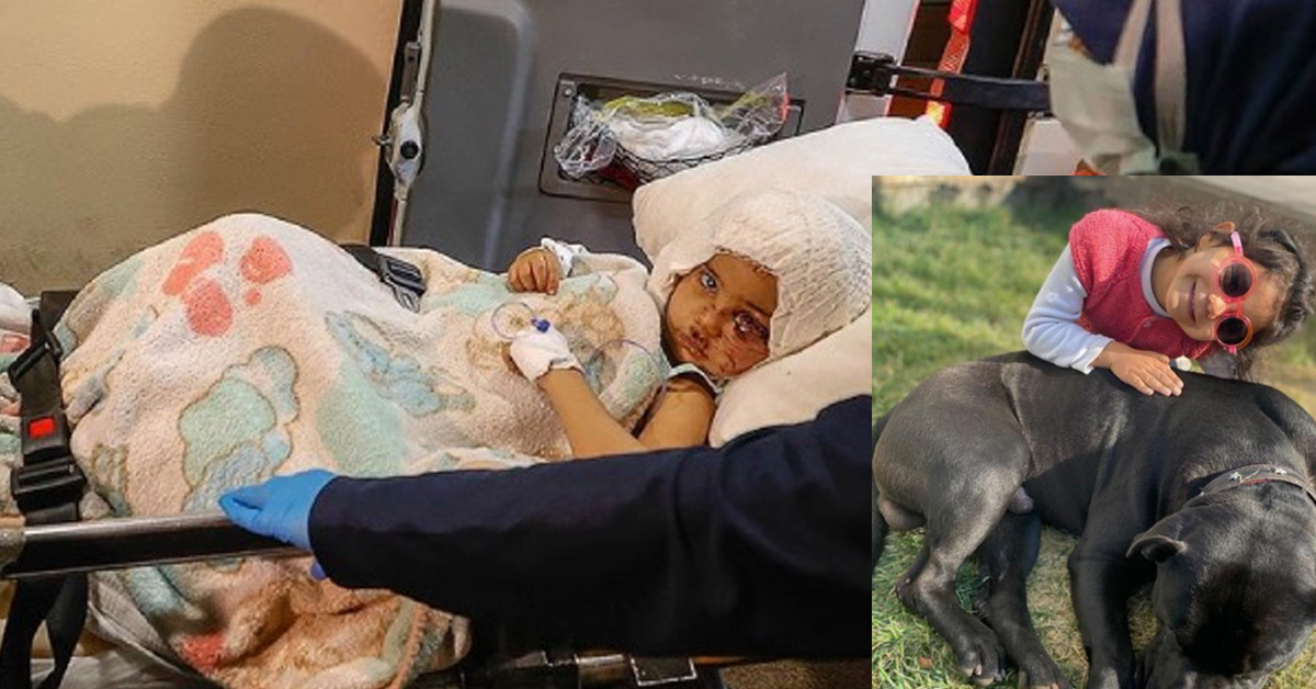 22 Aralık 2021: Gaziantep'te 2.5 Yaşındaki Minik Asiye'ye Pitbull Saldırısı