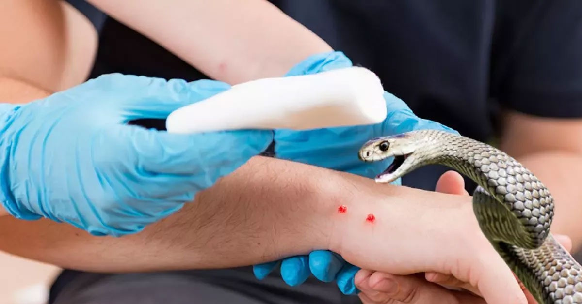 Yetkililer uyardılar