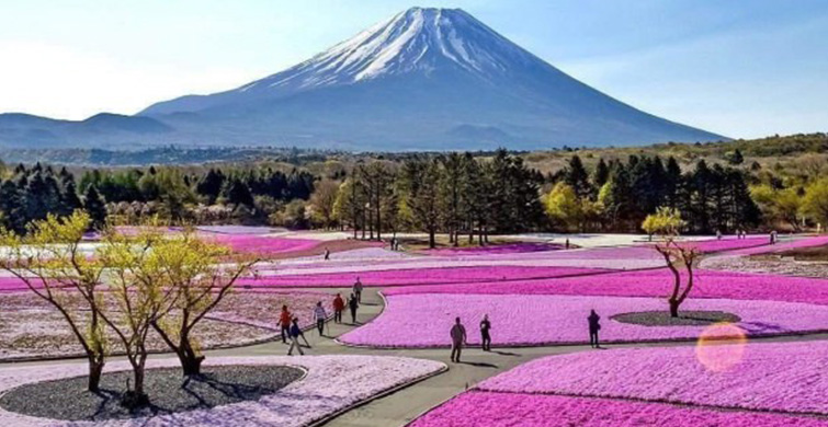FUJI-HAKONE IZU ULUSAL PARKI (JAPONYA)