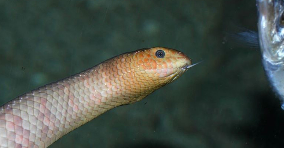 Sosyal medyadan yayınladılar