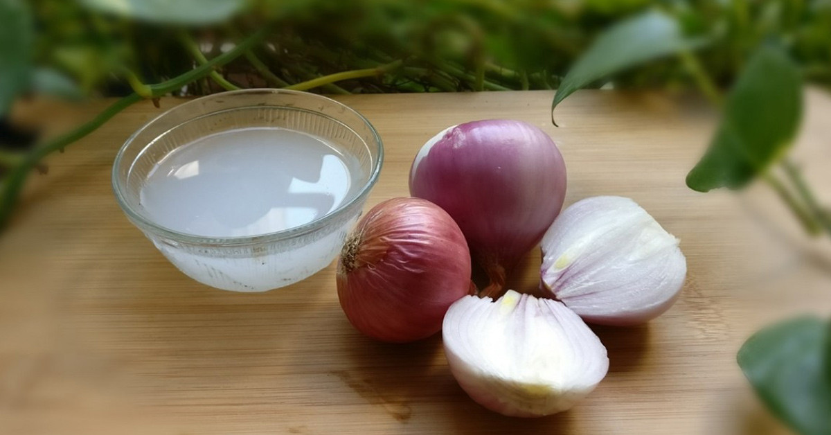 SOĞAN SUYUNUN FAYDALARI