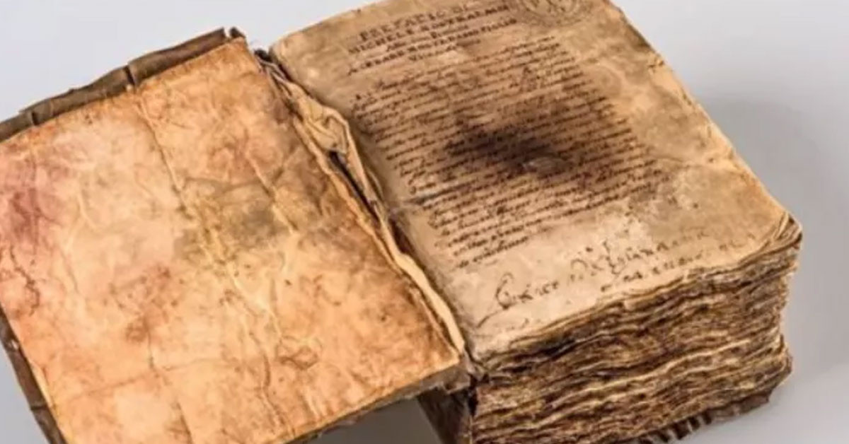 Ünlü kahinin kitabı