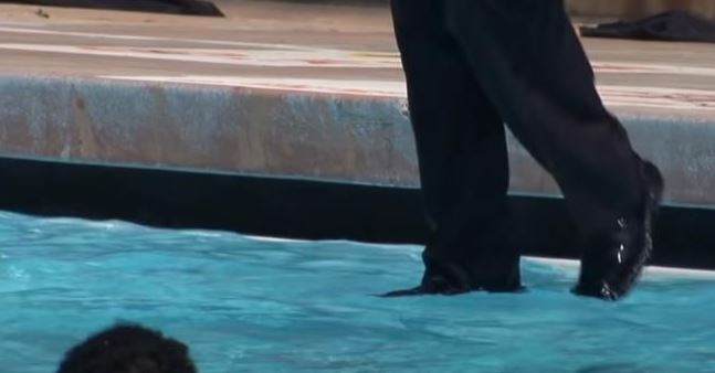 HAVUZDA NASIL YÜRÜYOR?