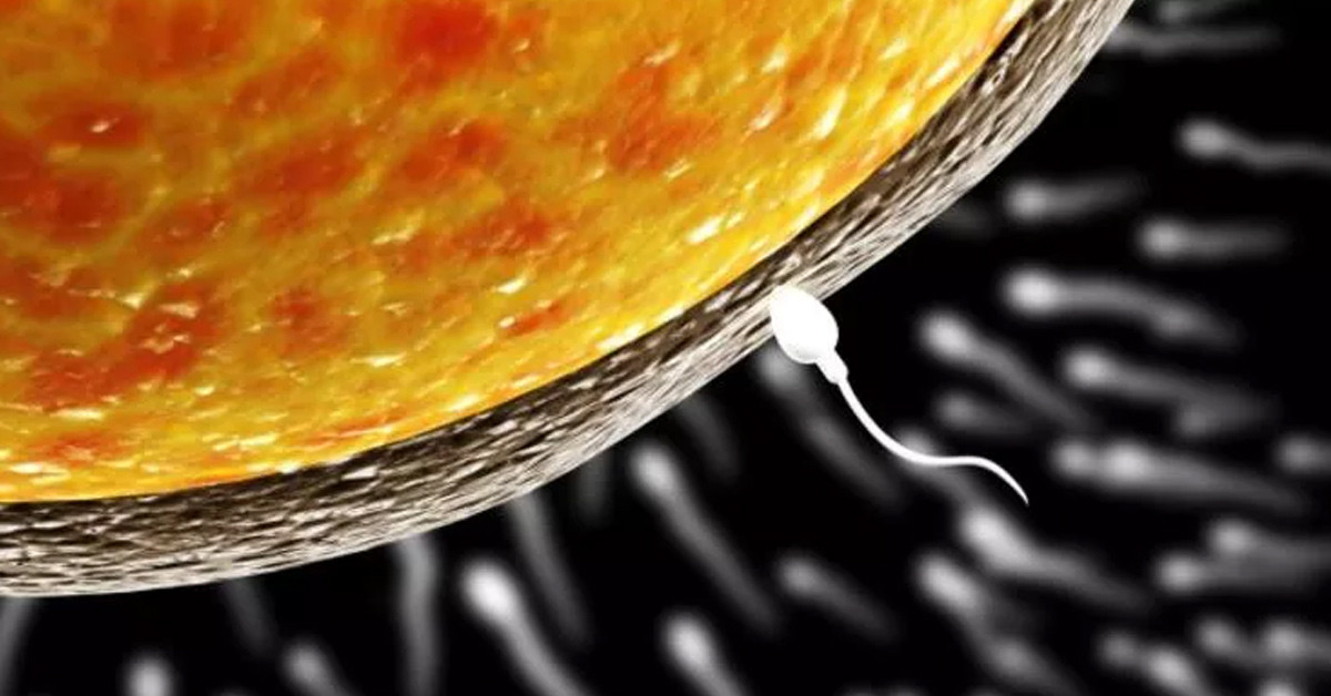 Çevresinden gelen tepkiler