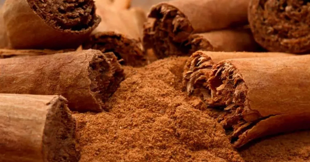 Tarçına batırabilirsiniz 