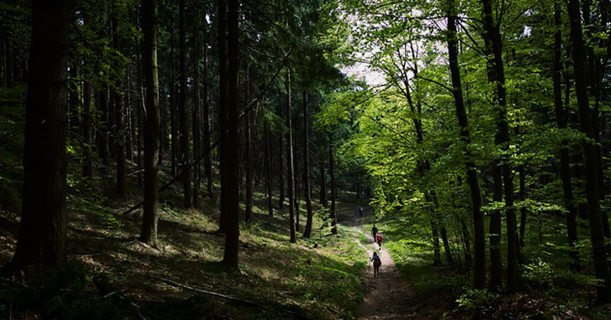 Köyün içinde dolaşıyor