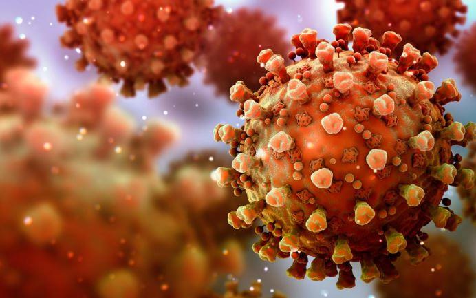 Vakalar Karadeniz Bölgesinde Türkiye'nin Dört Katı Kadar!