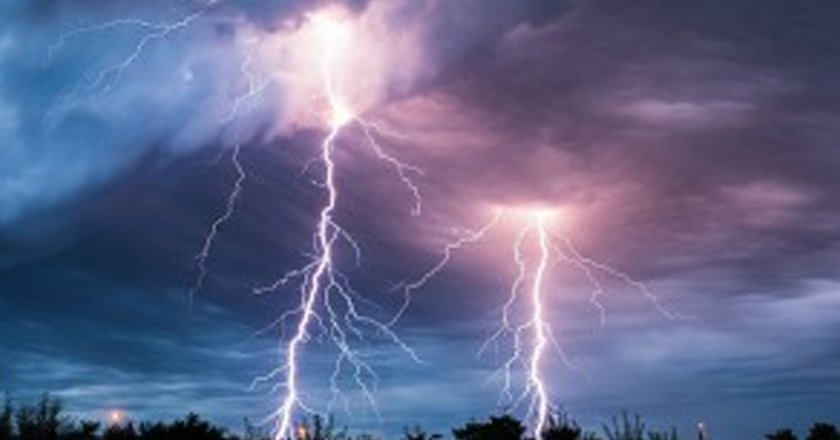 Ağacın altında durmayın!