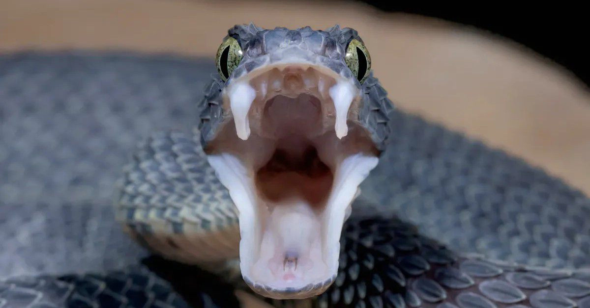 Başka bir evden kaçtı