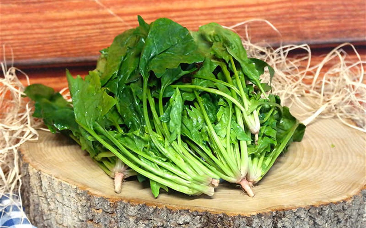 Yeşil Yapraklı Besinler