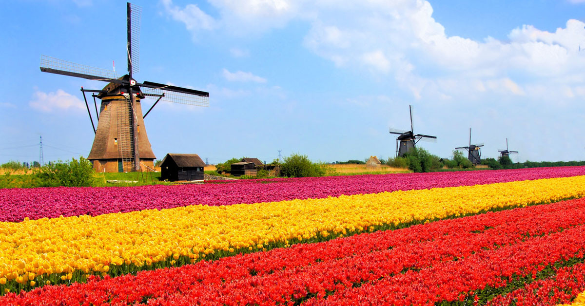 6. HOLLANDA
