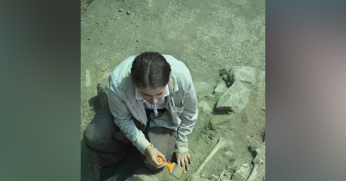 İncelemeye aldılar