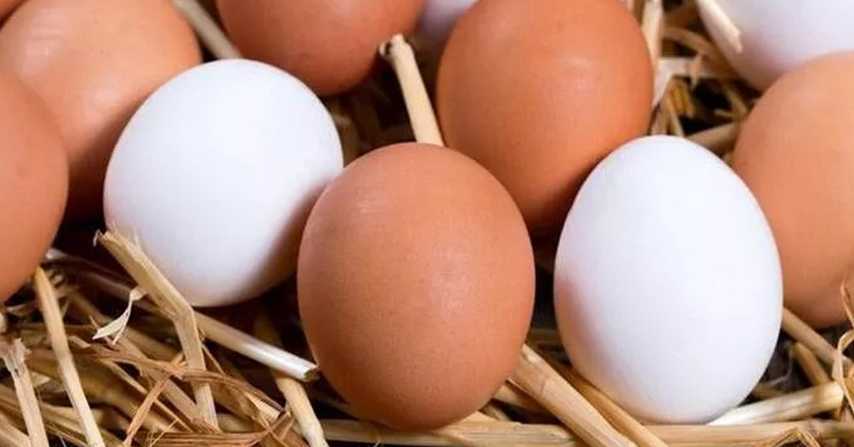 Hafıza güçlendirir