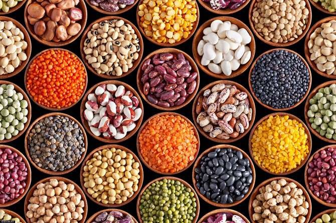 Besin Kaynağı Kuru Bakliyatlar