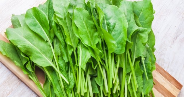 Hastalıklara Karşı Koruma Sağlar