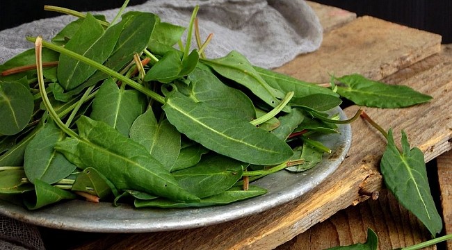 Kandaki Toksinleri Temizler