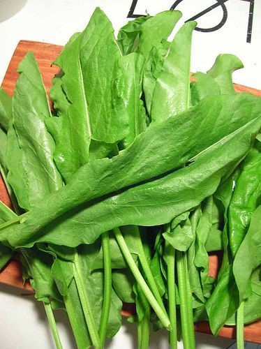 Ağız Sağlığını Korur