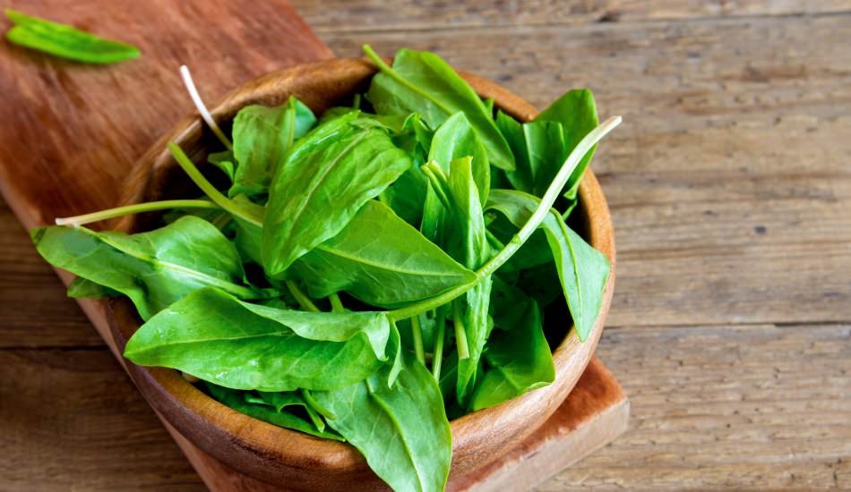 Kan Şekerini Ayarlar