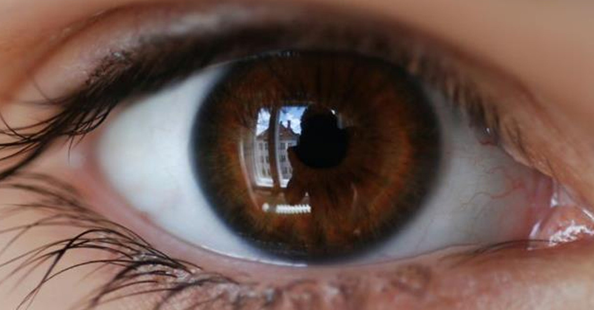 Kahve ya da siyah renkli göz