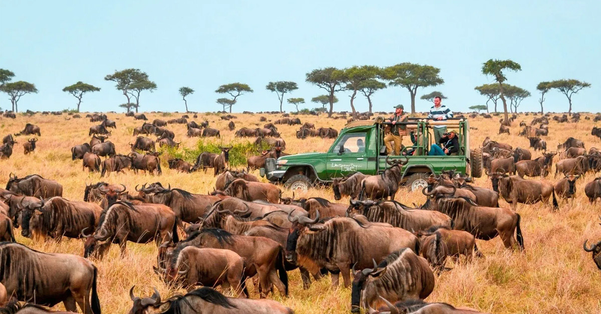 ANGOLA'DA YABANİ HAYAT
