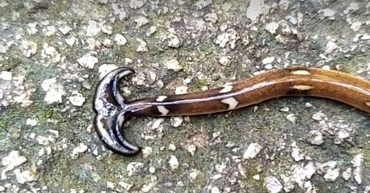 Yetkililer açıklama yaptı