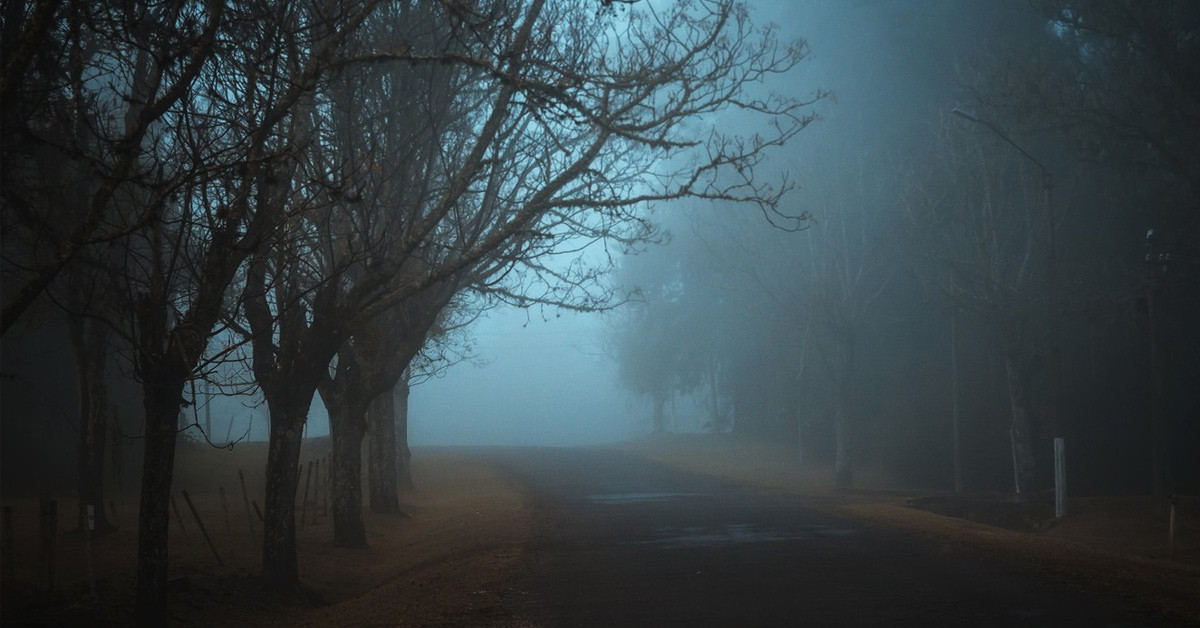 KAÇ TANE SİS TÜRLERİ NELERDİR?