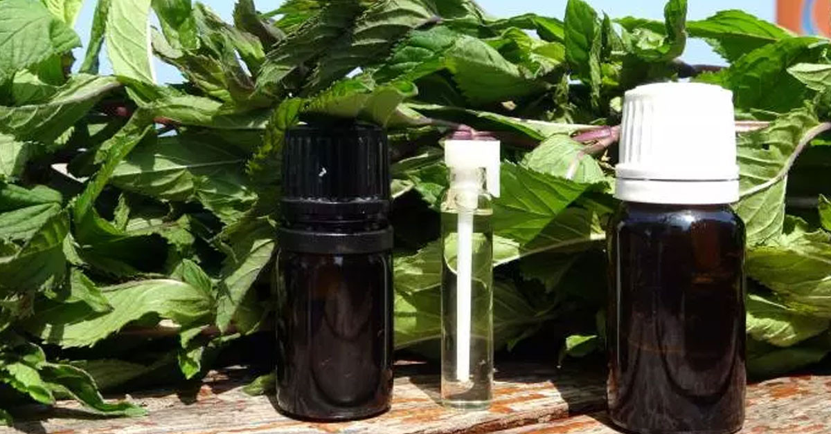 “Litresi 35 bin TL”