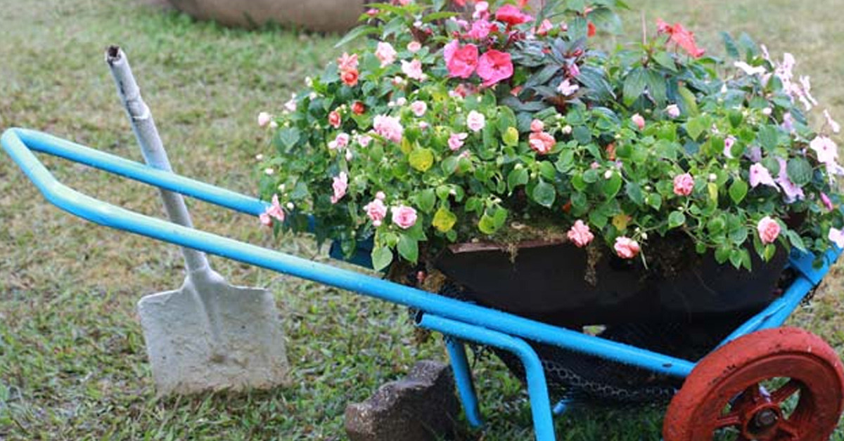 Bitkilere yaklaşamayacak 